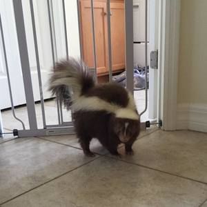 Meet your Posher, Barbara